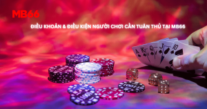 MB66 - Điều khoản